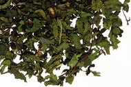 morrocan mint from TeaGschwendner
