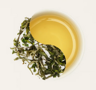 Sanxia Biluochun from Wang Family Tea