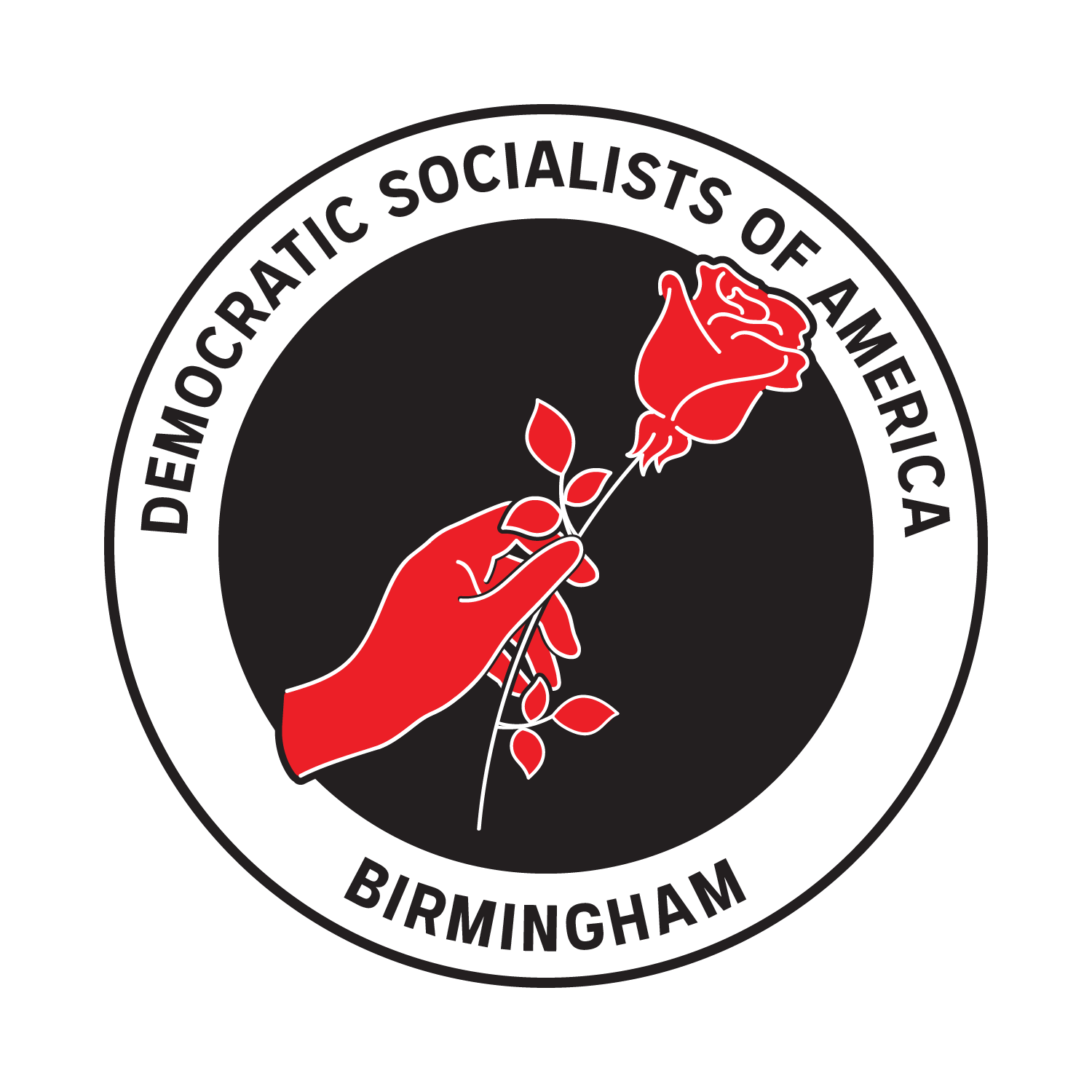 Birmingham DSA logo