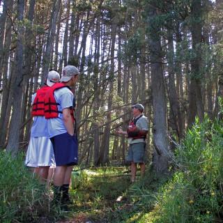 Pine Barrens Discovery Tour