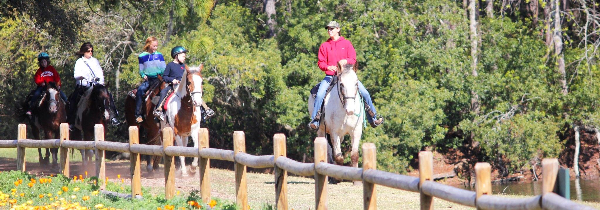 Carriage Ride - 60 Minute photo 1