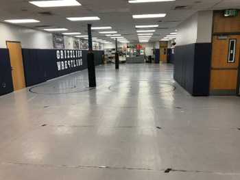 Wrestling Room