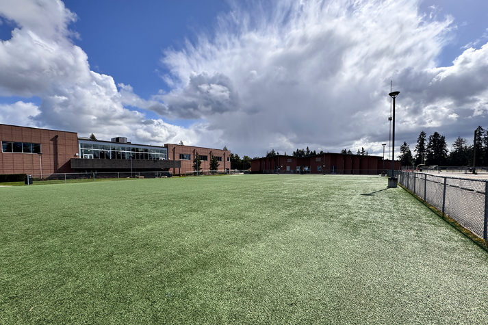 Small Turf Field