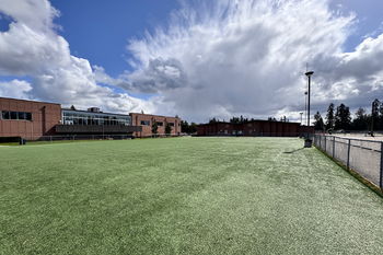 Small Turf Field