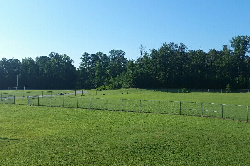 Baseball Field