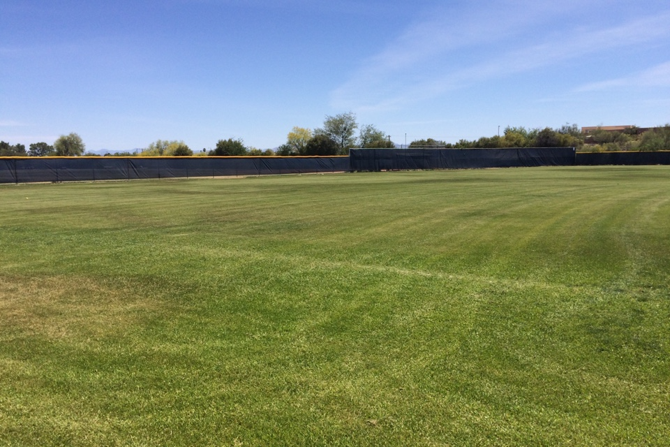 Baseball Field