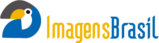 ImagensBrasil logo