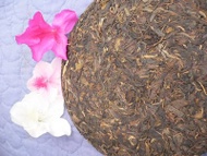 Spring 2003 Raw Wild Puerh Cake, Yiwu, Yunnan from Tea Masters Blog