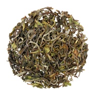 Darjeeling 1st Flush: Goomtee Estate, Wonder Muscatel from MEM Tea Imports