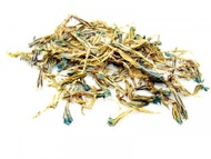 Gentian-Jade Beauty from ESGREEN