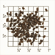 Season's Pick Parakan Salak Estate CTC BP from Upton Tea Imports
