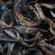 Gu Shu Banpo Villlage Sheng Pu'er from West China Tea Company