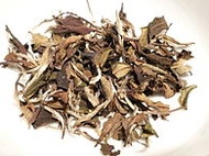 White Peony from TeaSource