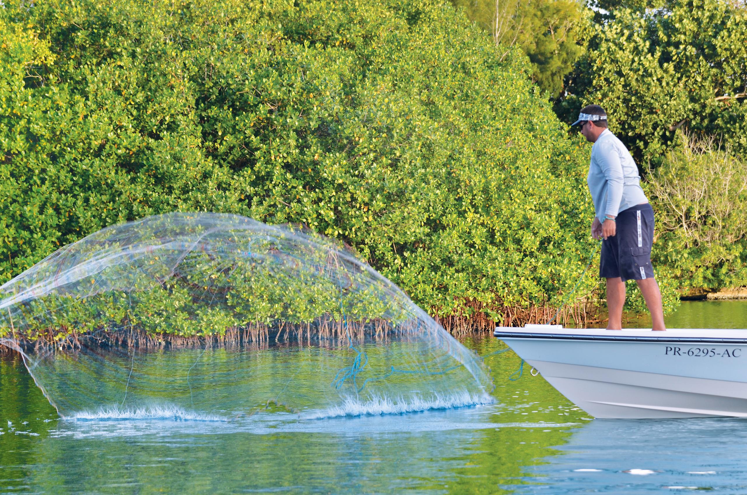 Light Tackle Fishing Charters photo 2