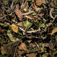 Pai Mu Tan from Tour de Tea