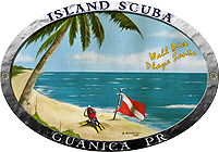 Island Scuba
