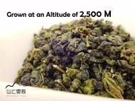 Taiwan Da Yu Ling Oolong Tea from Nuvola Tea