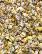 Organic Chamomile from Groundwork Coffee Company