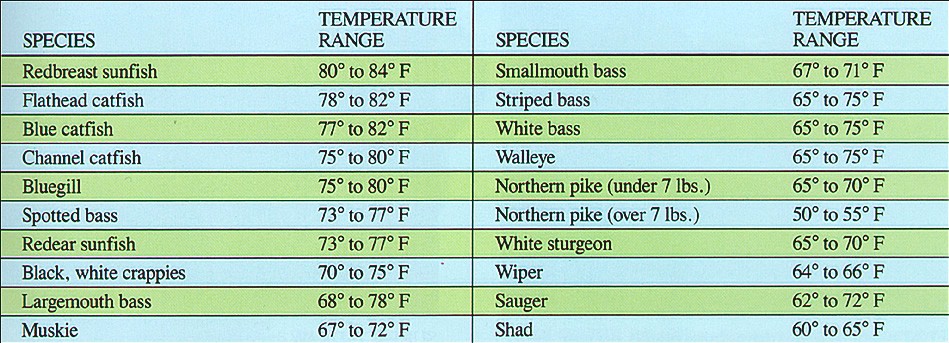 Preferred water temperature by species