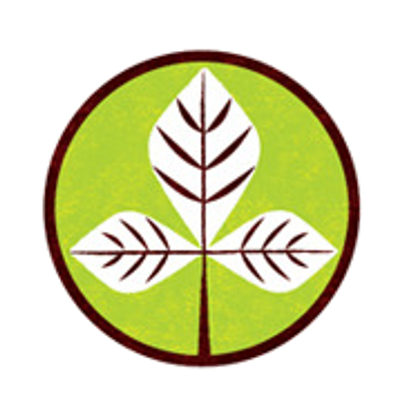 image: 