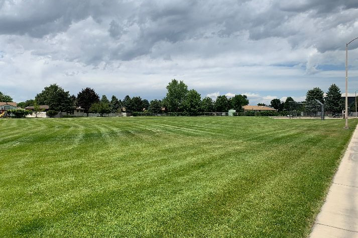 Fields