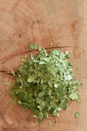 Green Yaupon from Tea Composer