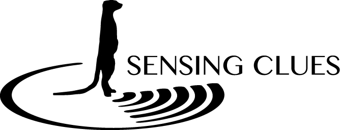 Sensing Clues Foundation logo