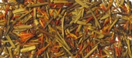 Roasted Maple from Shanti Tea