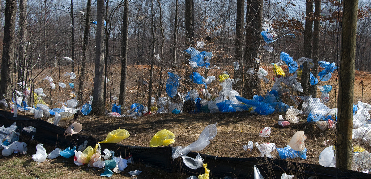 Why Ban Plastic Bags?