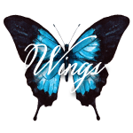 Wings Ministries Inc logo