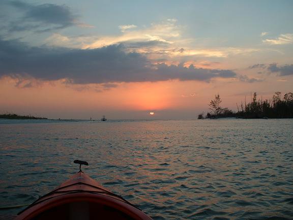 Kayak & Birdwatching with GAEA Guides on the Caloosahatchee River - Fort Myers