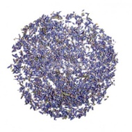 Lavender Tea from teasenz