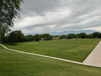 Field