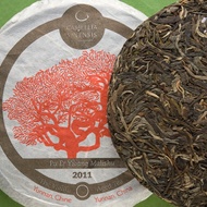 Pu Er 2011 Yibang Malishu from Camellia Sinensis