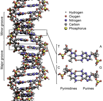 DNA Research Web Page- Hawaii School of True Science Academy