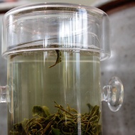 Glass Test Tube Steeper from Verdant Tea