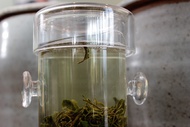 Glass Test Tube Steeper from Verdant Tea
