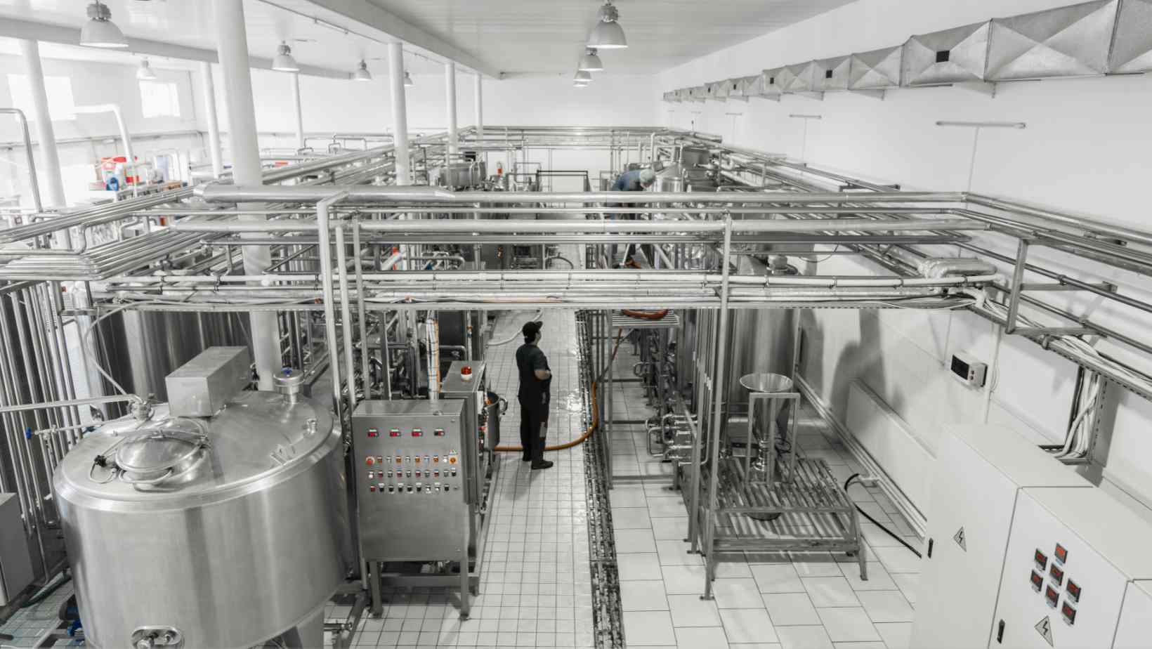 Dairy products plant with 50000 litres per day capacity