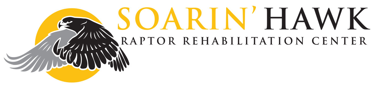 Soarin' Hawk Raptor Rehabilition logo