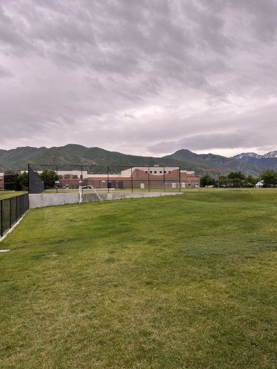 Field