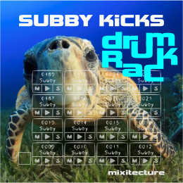 subby kicks cover image