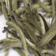 ZW74: Yunnan White Needle from Upton Tea Imports