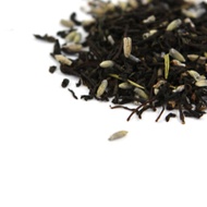 Lady Grey from Sanctuary T