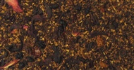 Honey Berry from Shanti Tea