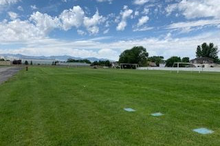 Fields