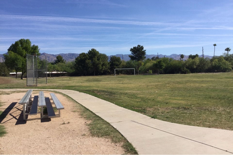 Field