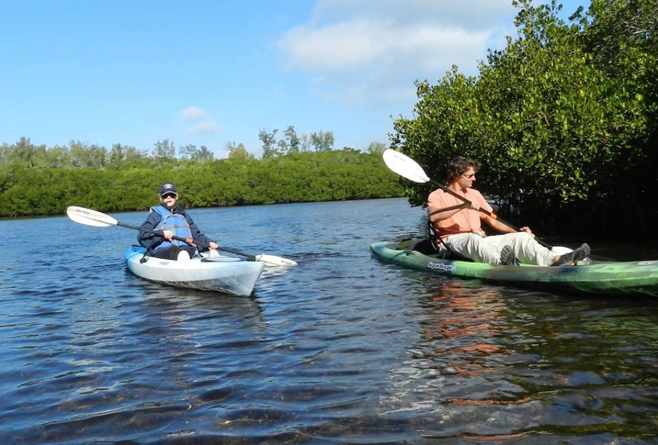 Morning Guided Mangrove Tunnel Tours in Sarasota, FL - Sarasota