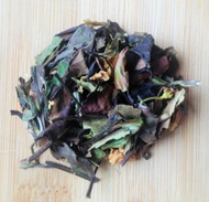 Gentle Giant from Yumchaa