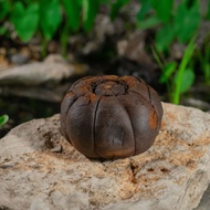 2016 Pomelo-Aged 8 Immortals Oolong from West China Tea Company