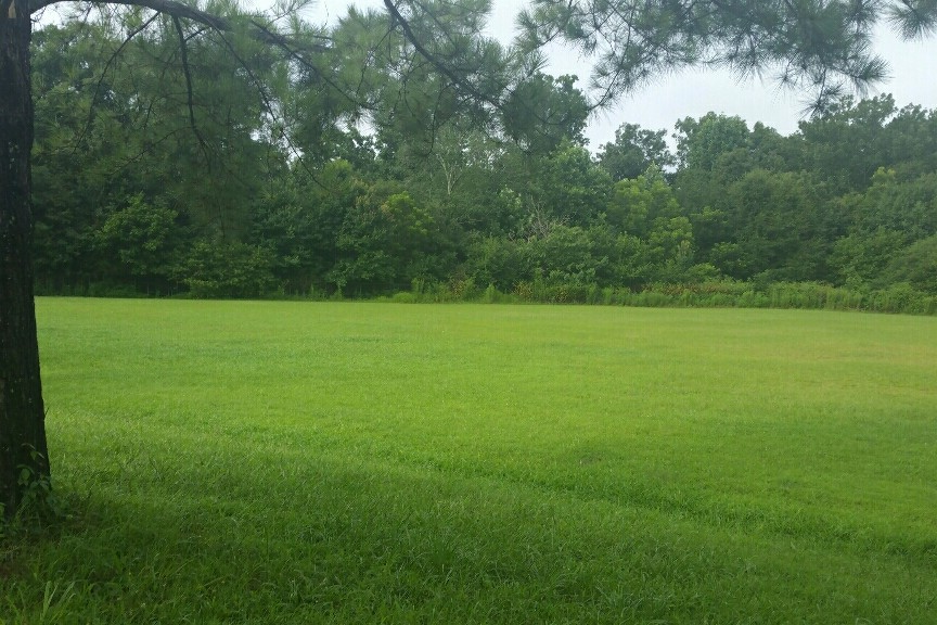 Soccer Field